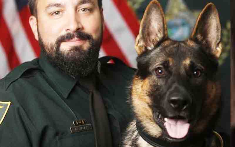 Police dog subdues suspect armed with shotgun