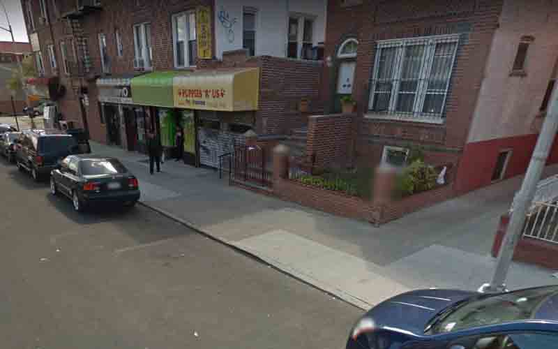 11-year-old girl dragged into an alley and robbed at knifepoint in New York City
