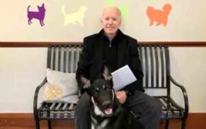 Biden's dog major was biting secret service agents every day released emails show