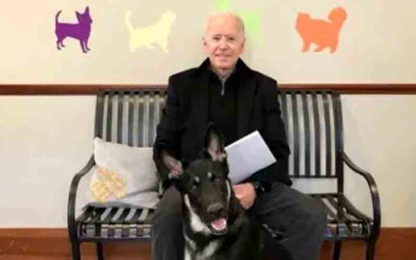 Biden's dog major was biting secret service agents every day released emails show - photo licensed by shore news network.