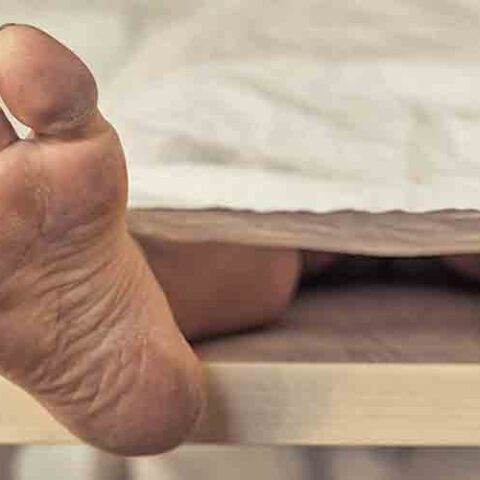 Morgues overflow with dead bodies thanks to fentanyl overdoses - photo licensed by shore news network.