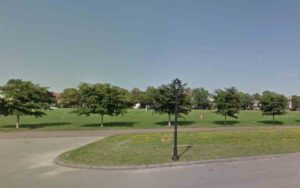 Buffalo man who threw 8-week-old puppy multiple times in park facing animal cruelty charge