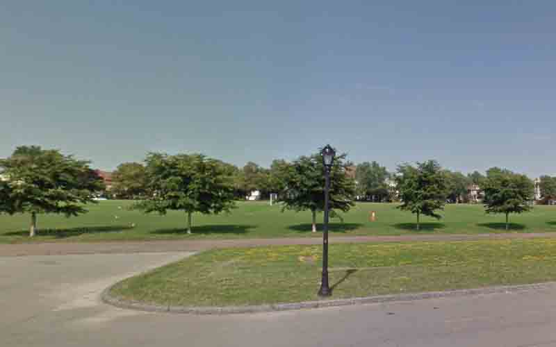 Buffalo man who threw 8-week-old puppy multiple times in park facing animal cruelty charge
