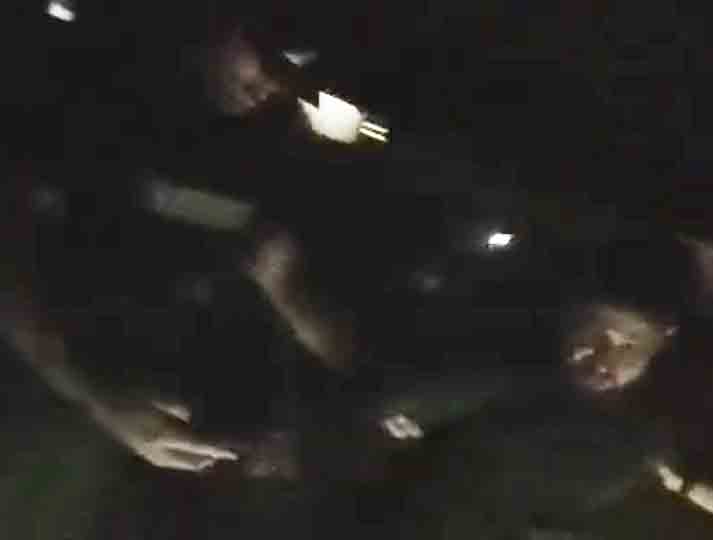 Watch: Police catch prowler with his pants down outside woman's bedroom window