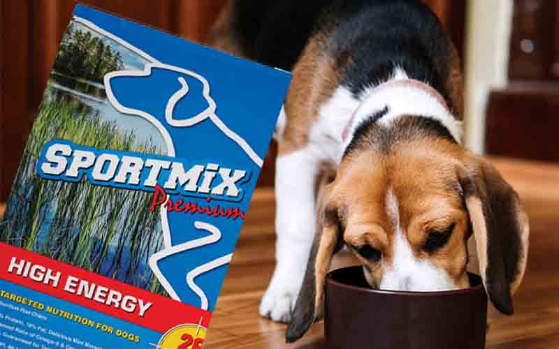 FDA Issues Warning to Pet Company After Food linked to 130 Dog Deaths