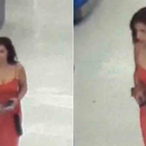 Do you know her? Woman sought for vehicle break-in, credit card theft investigation - photo licensed by shore news network.