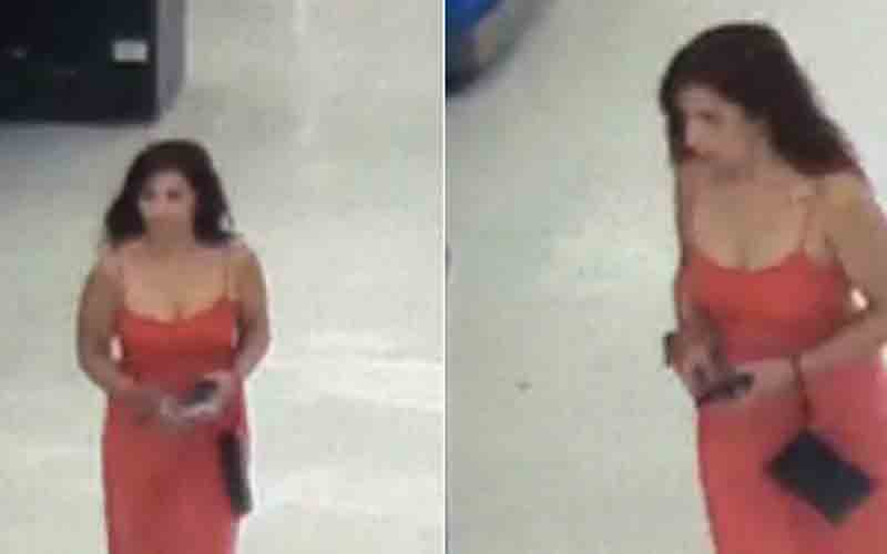 Do you know her? Woman sought for vehicle break-in, credit card theft investigation