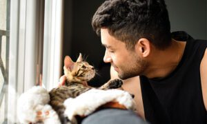 Three ways you can make home feel like a forever home for your new foster kitten Three ways you can make home feel like a forever home for your new foster kitten