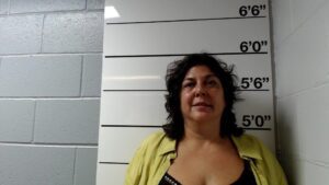 Police arrest woman suspected of dealing drugs in cambridge area