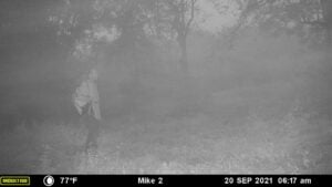 Police investigating possible brian laundrie sighting on okaloosa county deer trail