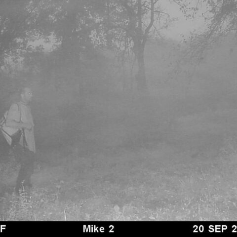 Police investigating possible brian laundrie sighting on okaloosa county deer trail - photo licensed by shore news network.