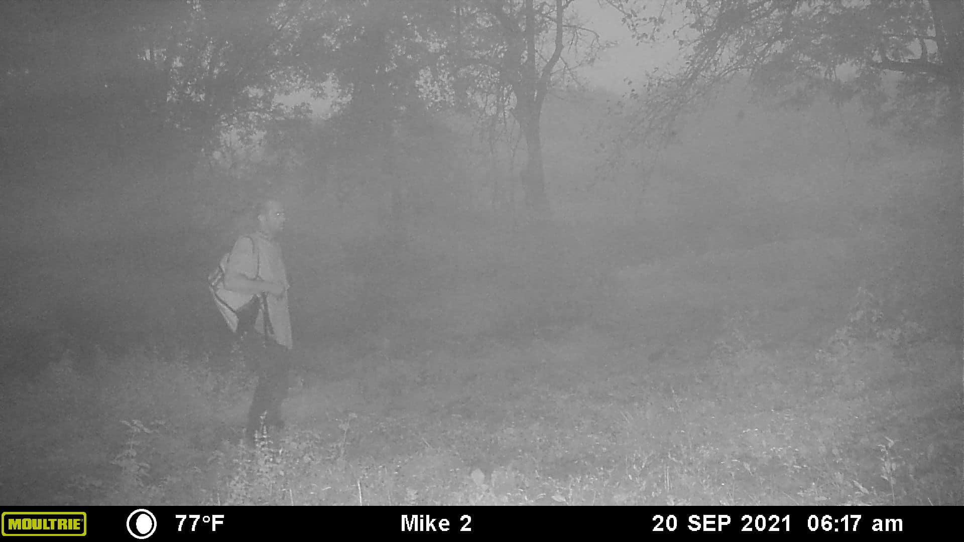 Police investigating possible Brian Laundrie sighting on Okaloosa County deer trail