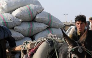 Pakistani ambassador doubts us intelligence taliban is seeking ‘retribution’ against afghans