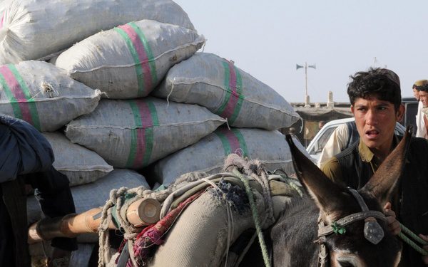Pakistani Ambassador Doubts US Intelligence Taliban Is Seeking ‘Retribution’ Against Afghans