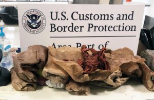 Illegal cow skins, insects from nigeria stopped by border patrol agents in virginia