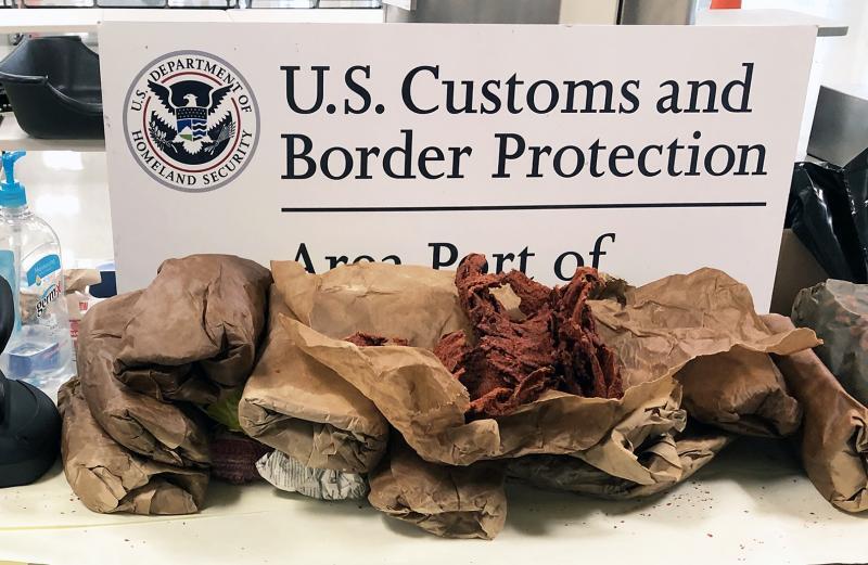 Illegal cow skins, insects from Nigeria stopped by Border Patrol agents in Virginia