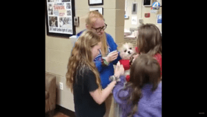 Little dog lost for 8 months reunites with her family