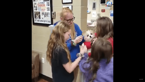 Little dog lost for 8 months reunites with her family - photo licensed by shore news network.