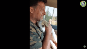 Abandoned beagle puppy too sick to move stuns everyone with recovery