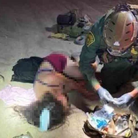 Migrants attacked by a swarm of bees after crossing border, girl, 2 went missing - photo licensed by shore news network.