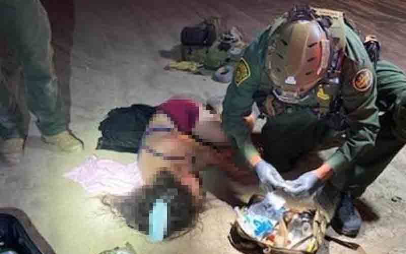 Migrants attacked by a swarm of bees after crossing border, girl, 2 went missing