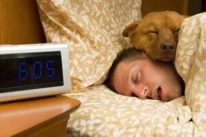 Do dogs dream? Canine behavioral specialist explains
