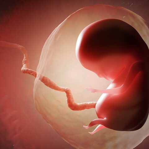 New york law lets pro-abortion activists investigate crisis pregnancy centers - photo licensed by shore news network.