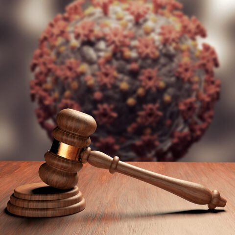 Covid-19 pandemic fraud