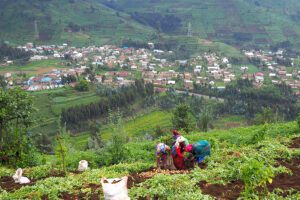 Rwandan genocide orchestrator dead at 80