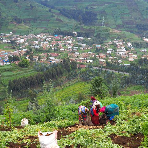 Rwandan genocide orchestrator dead at 80 - photo licensed by shore news network.
