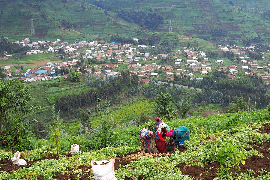 Rwandan Genocide Orchestrator Dead At 80
