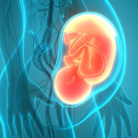 ‘it actually feels a lot like a child birth’ reporter whispers as npr airs abortion procedure on air - photo licensed by shore news network.