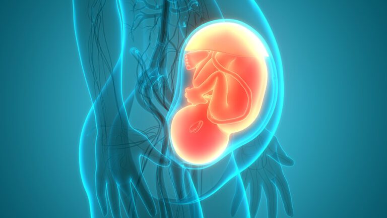 Judge blocks key part of arizona law banning doctors from aborting babies based solely on genetic abnormality - photo licensed by shore news network.