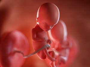 Texas state senator breaks down the heartbeat act: here’s how it’s enforceable