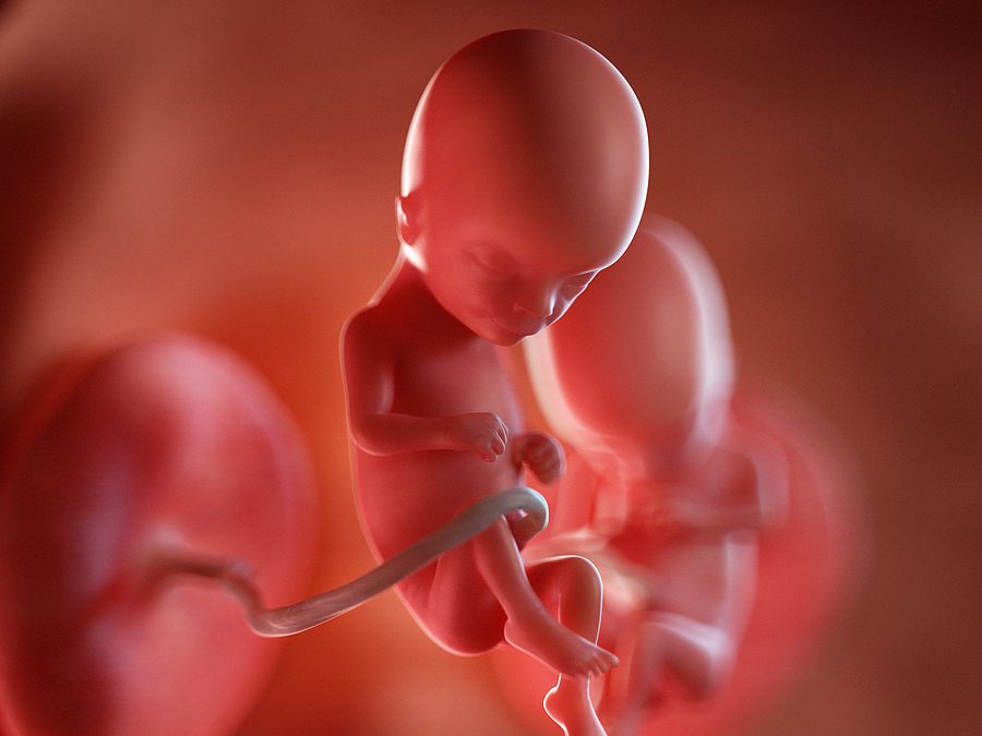 Texas State Senator Breaks Down The Heartbeat Act: Here’s How It’s Enforceable