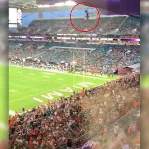 Cat falls from the upper deck at miami football game saved by an american flag - photo licensed by shore news network.