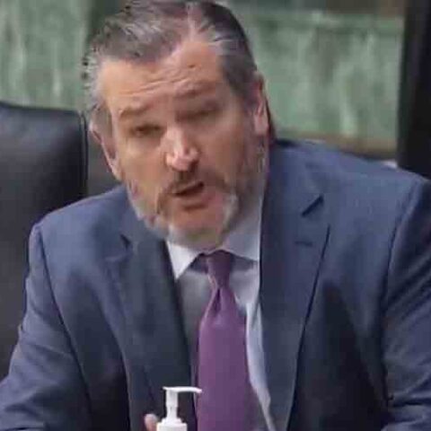 Cruz: biden administration is deliberately creating lawlessness in texas - photo licensed by shore news network.