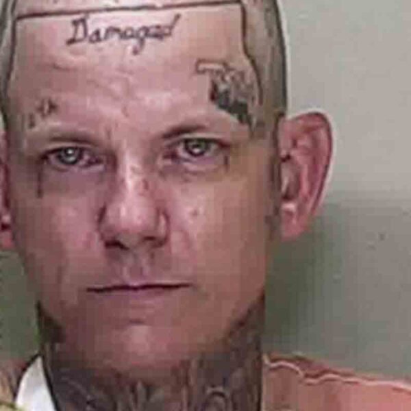 Fleeing suspect in high speed chase wrecks car outside police headquarters - photo licensed by shore news network.