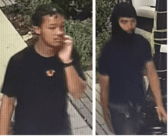 Suspects Sought in D.C. Armed Robbery