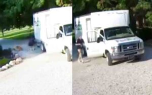 Fed ex worker stole her daughter's kitten, mom said