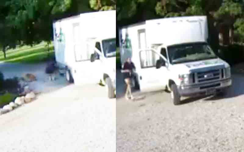 Fed Ex worker stole her daughter's kitten, mom said