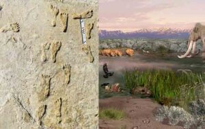 Fossilized footprints found in new mexico believed to be 23,000 years old