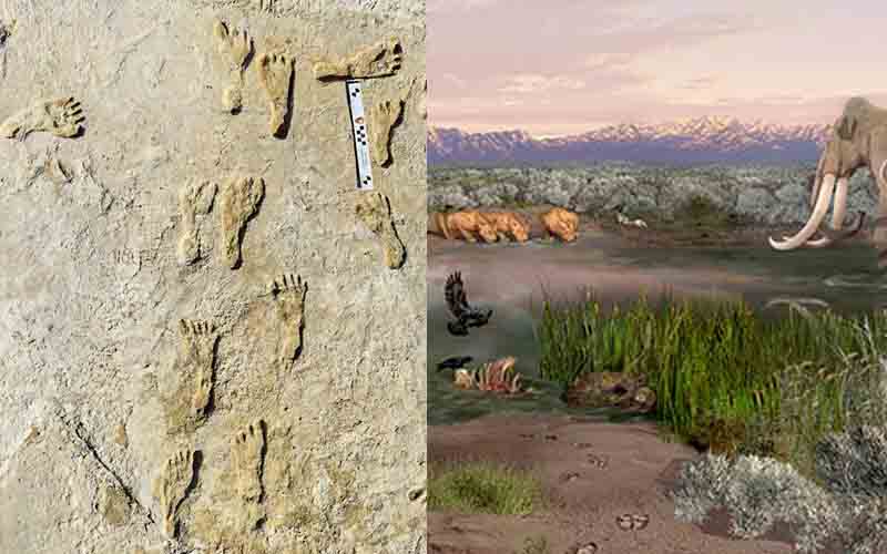 Fossilized Footprints Found In New Mexico Believed To Be 23,000 Years Old