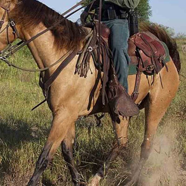 Texas Gov Will Hire Horseback Border Patrol Units If They’re Fired By Biden