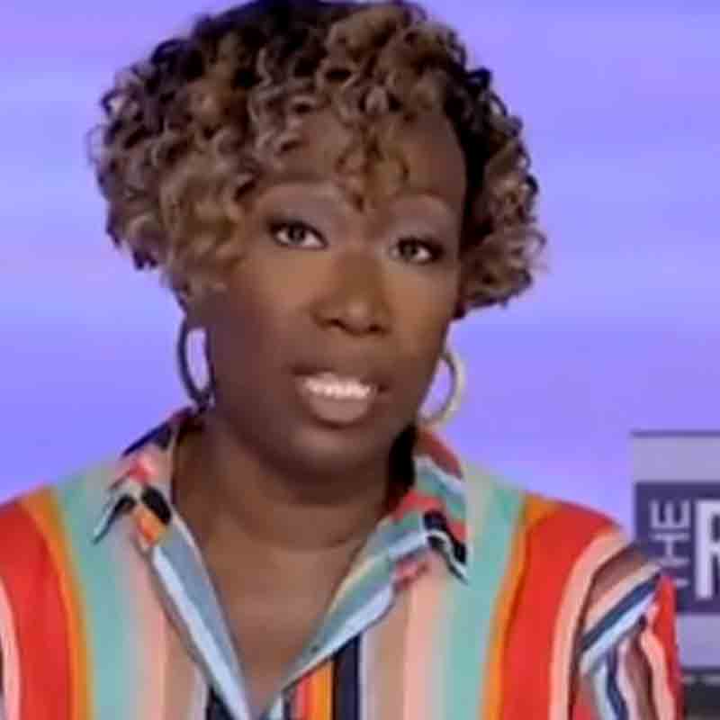 Race Baiting MSNBC Host Joy Reid Cut From Network Lineup