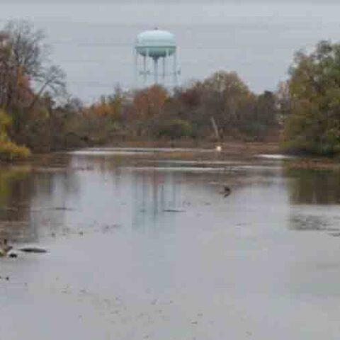 Body found in gloucester creek, police report accidental drowning, no foul play - photo licensed by shore news network.