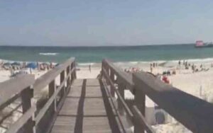 Body of indiana man who went to collect shells found after being reported missing