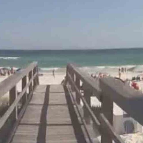 Body of indiana man who went to collect shells found after being reported missing - photo licensed by shore news network.