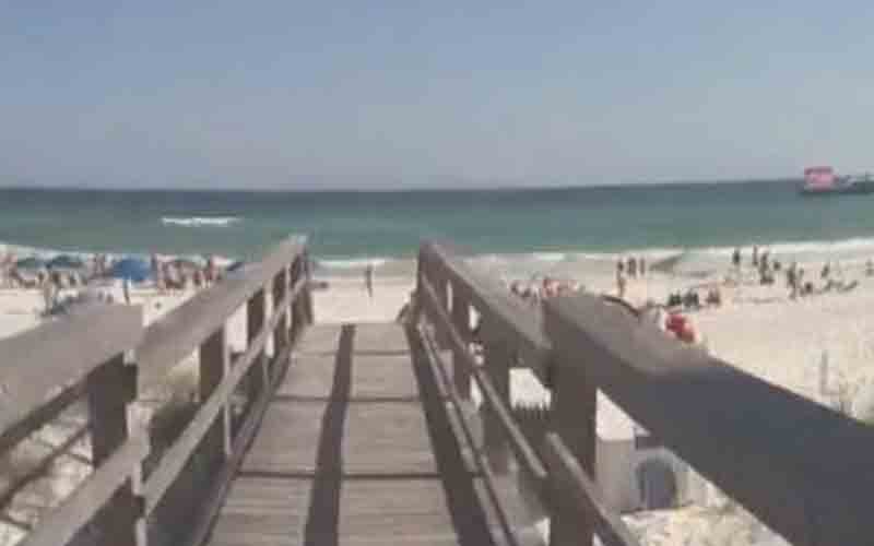 Body of Indiana man who went to collect shells found after being reported missing