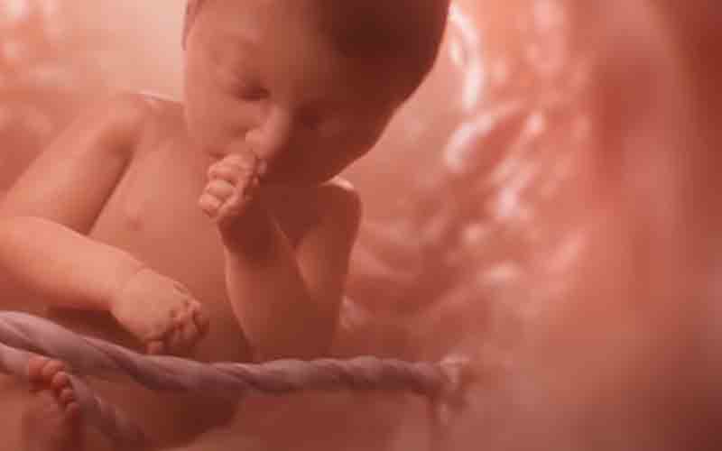 Pro-Life Group Says Google Banned Its Ads In ‘Dramatic And Unprecedented Move’